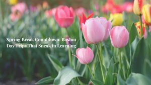 Spring Break Day Trips 
