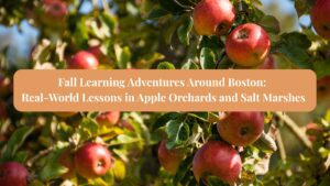 Fall Learning Adventures Around Boston